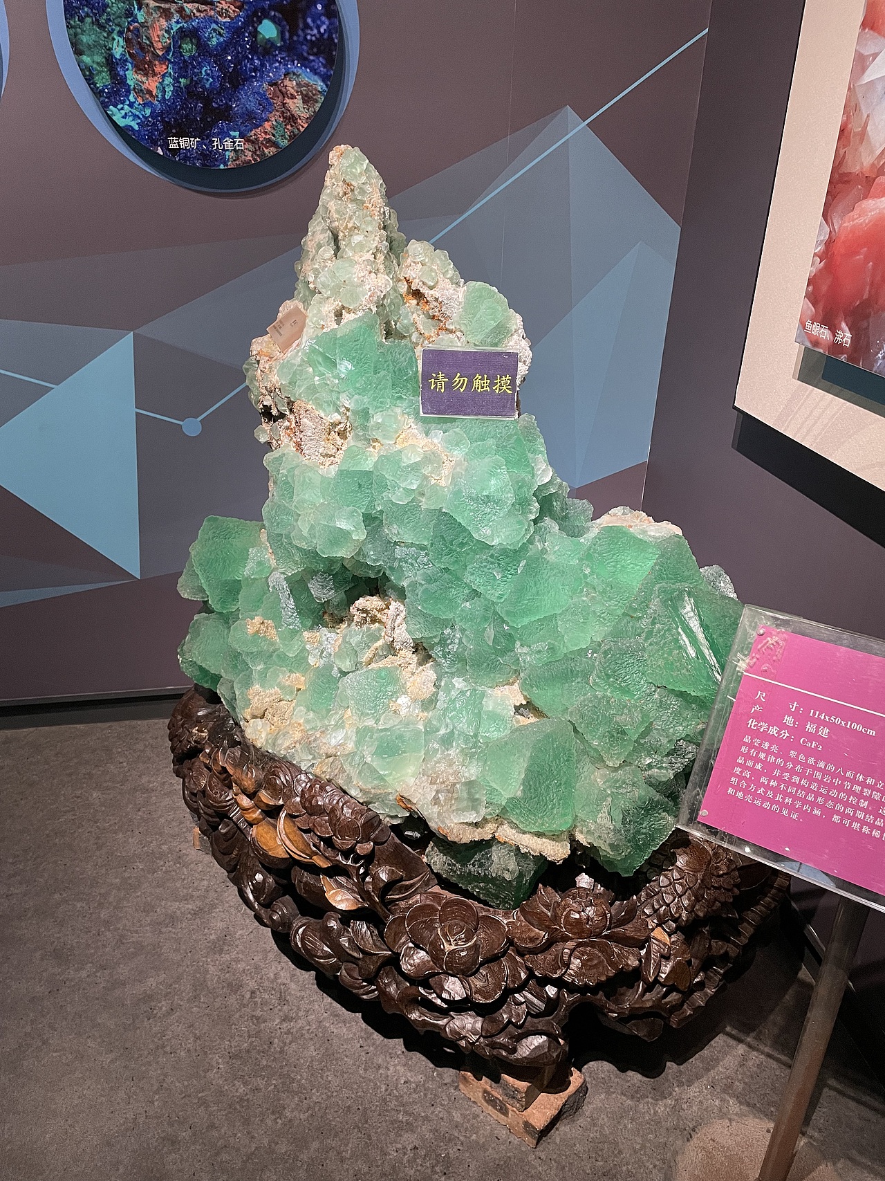 地质博物馆学习（图ZMzc4MDIxMjYw） - 展陈设计 - 站酷设计师哈兰德大卫山姆士原创素材 - 站酷ZCOOL