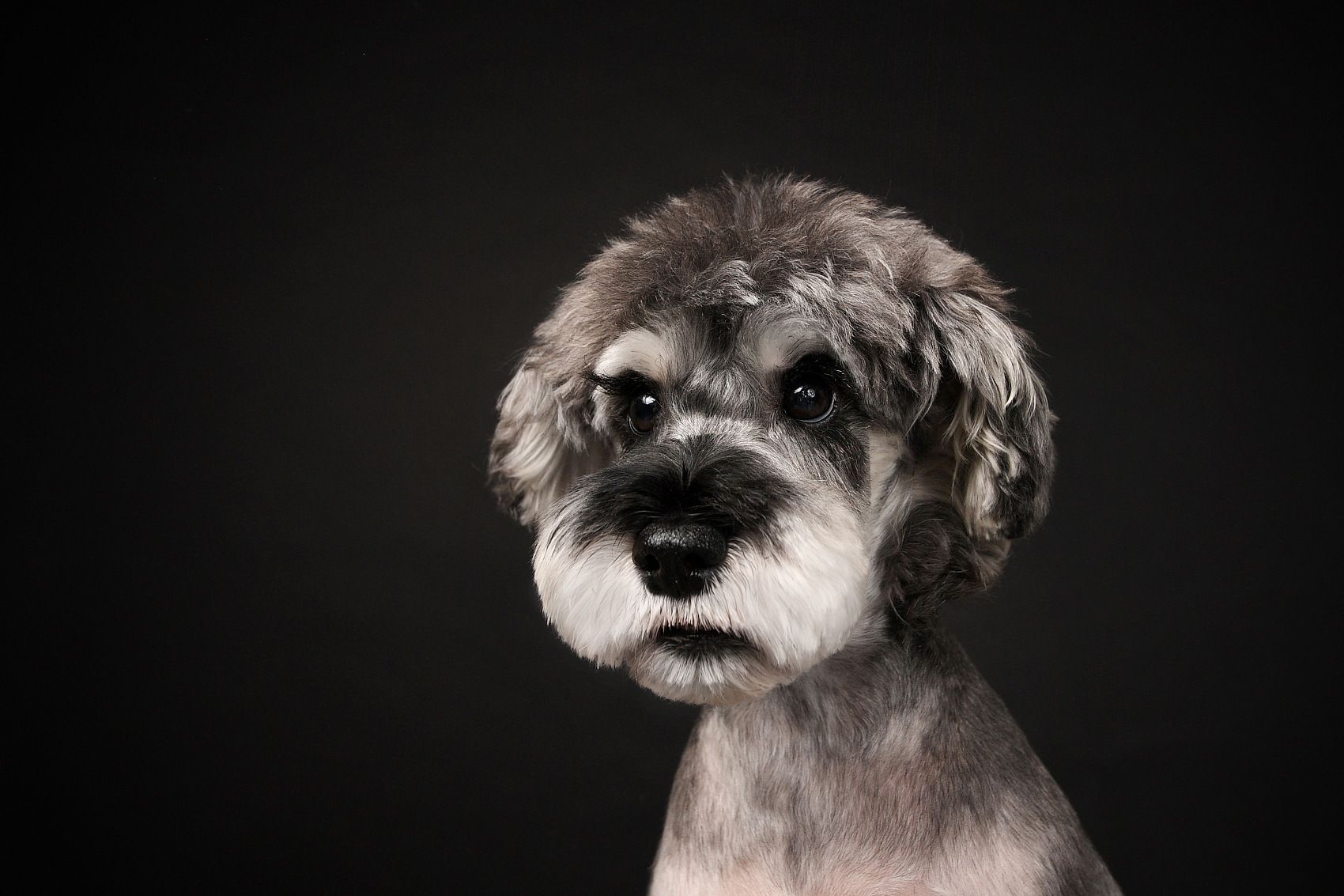 jolly8767的个人主页（封面预览） - 主页封面设置 - 站酷设计师jolly8767原创素材 - 站酷ZCOOL