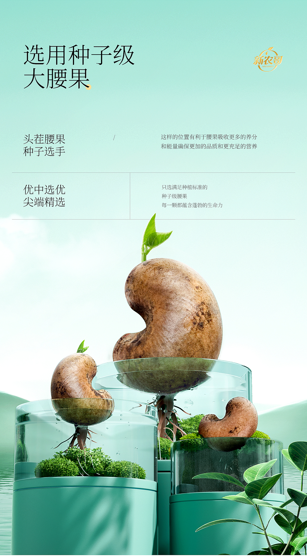 优设造视 & 新农哥 品牌视觉升级【坚果详情】（图ZMzc4MDI2Njk2） - 电商 - 站酷设计师灵鲲科技AIGC原创素材 - 站酷ZCOOL