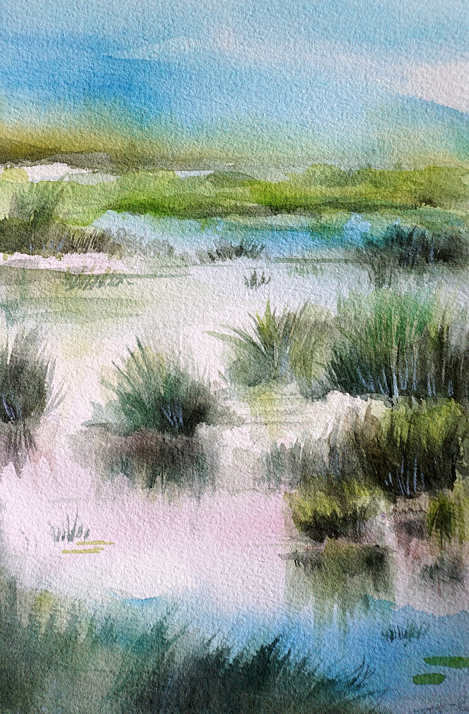 小幅风景练习(草滩)