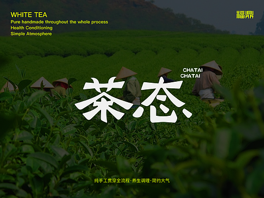 茶态-白茶品牌全案