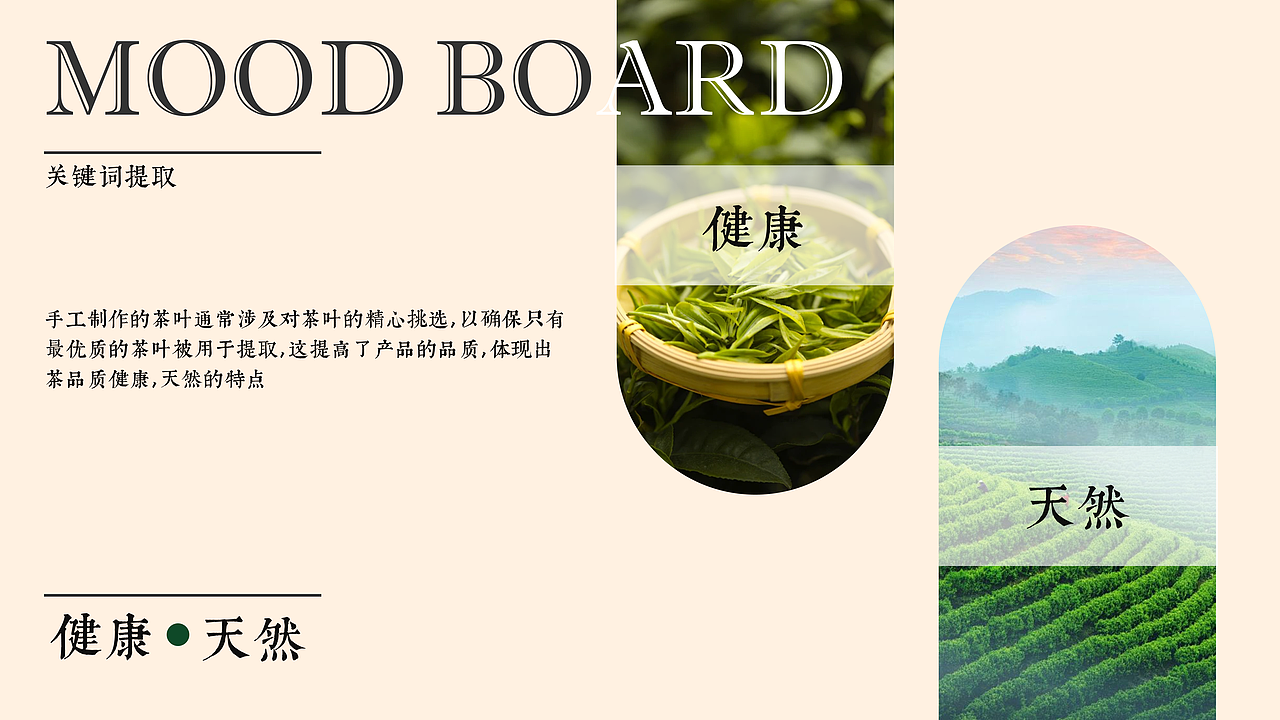 茶态-白茶品牌全案