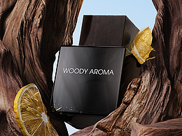 木質(zhì)題材C4D三維練習(xí)案例