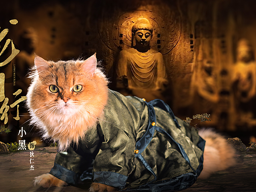 汉服猫咪，穿越龙门石窟