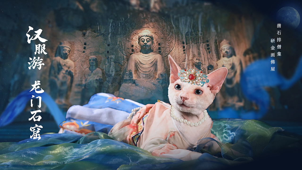 汉服猫咪，穿越龙门石窟（图ZMzc4MDc0MzMy） - 宠物摄影 - 站酷设计师小齿轮会发光原创素材 - 站酷ZCOOL