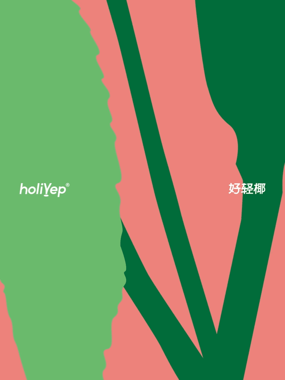 holiyep 好轻椰 椰子水品牌 包装视觉设计