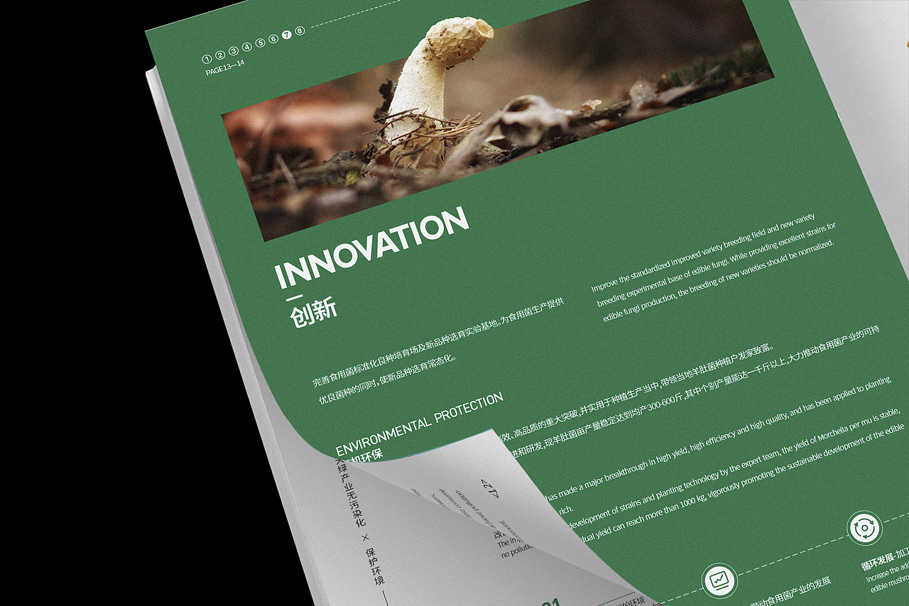 农业产品手册（翻新）（图ZMzc4MDgwNTgw） - 书籍/画册 - 站酷设计师悦见_原创素材 - 站酷ZCOOL