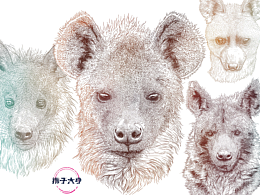 绘画
