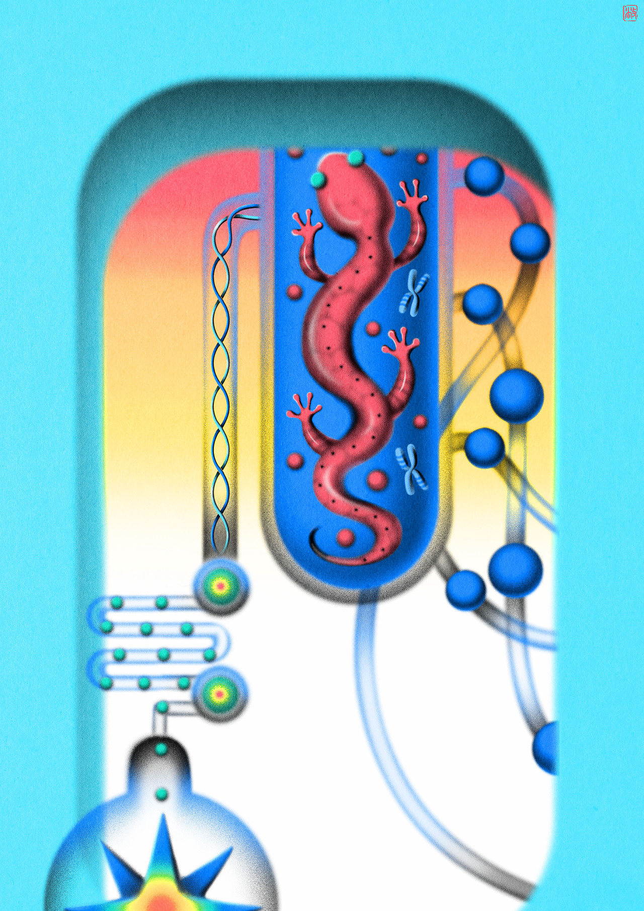 我们由奇迹构成