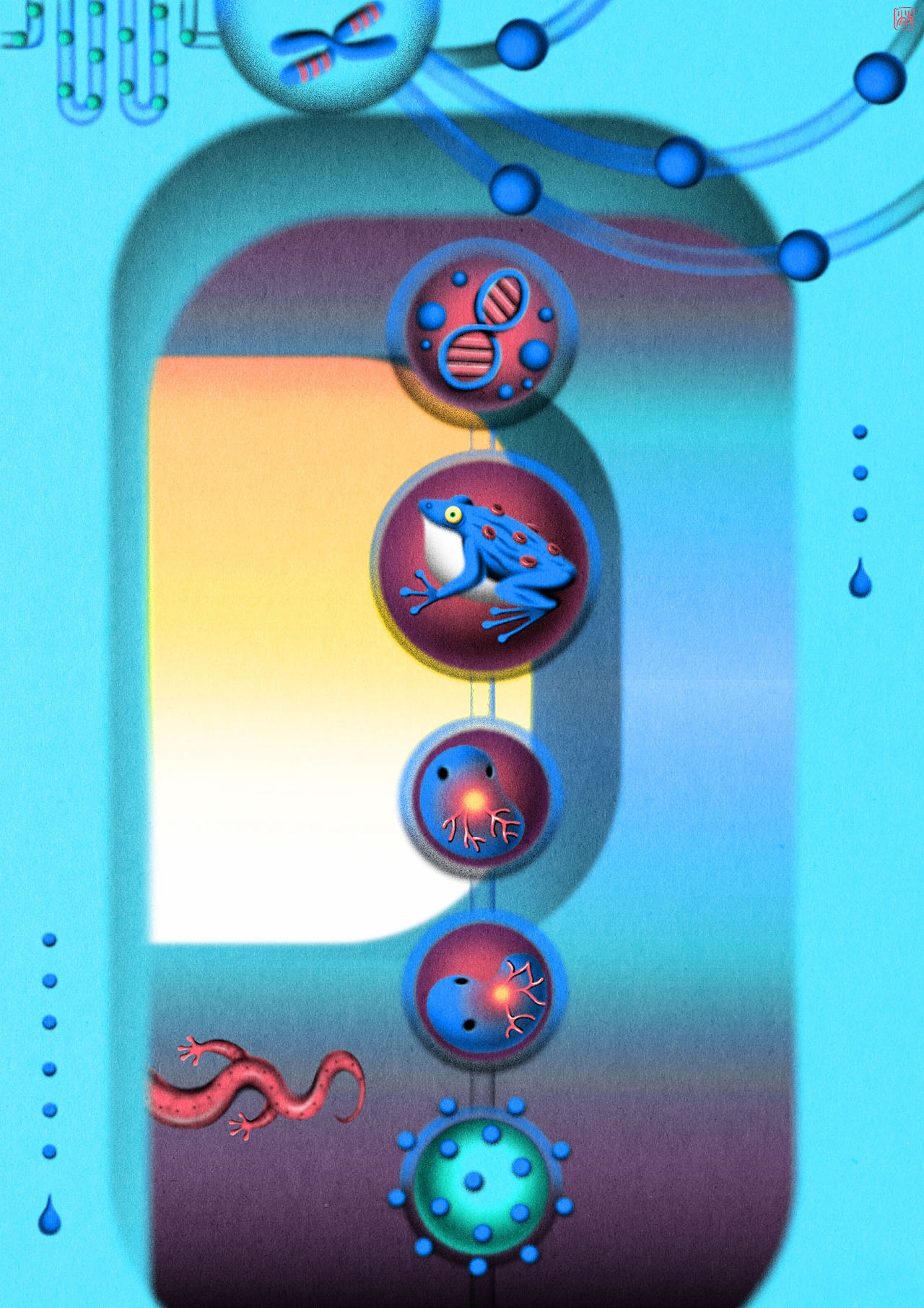 我们由奇迹构成