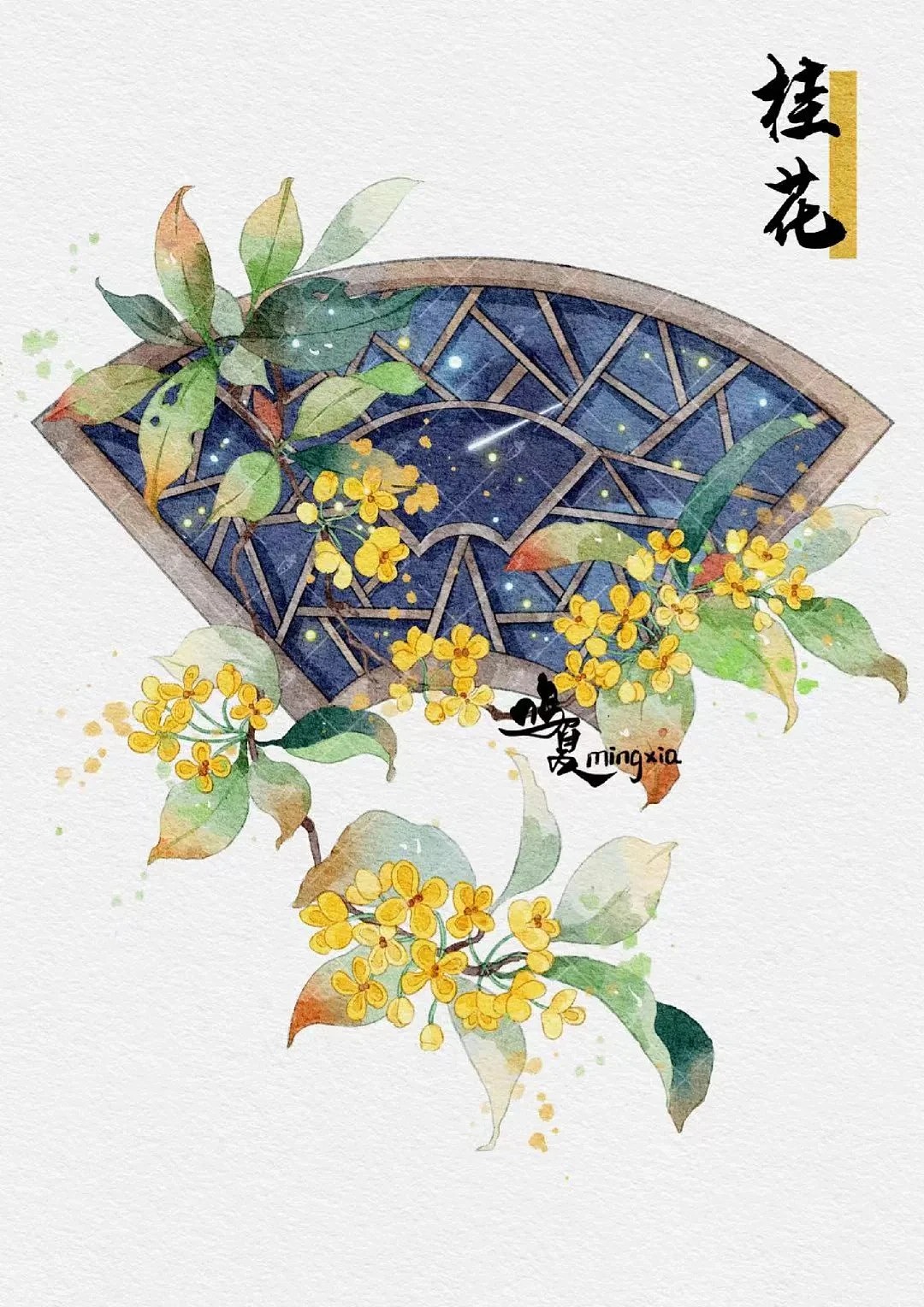 花窗植物系列
