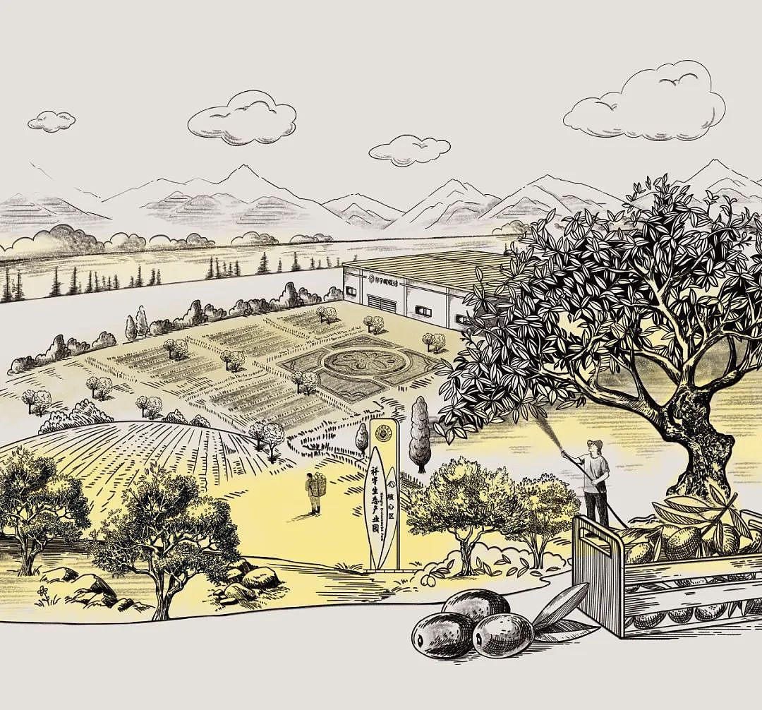 中粮福临门X祥宇橄榄油包装设计（图ZMzc4MTA4MDE2） - 包装 - 站酷设计师北京西林设计2005原创素材 - 站酷ZCOOL