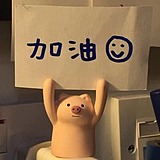 陈泽思的头像