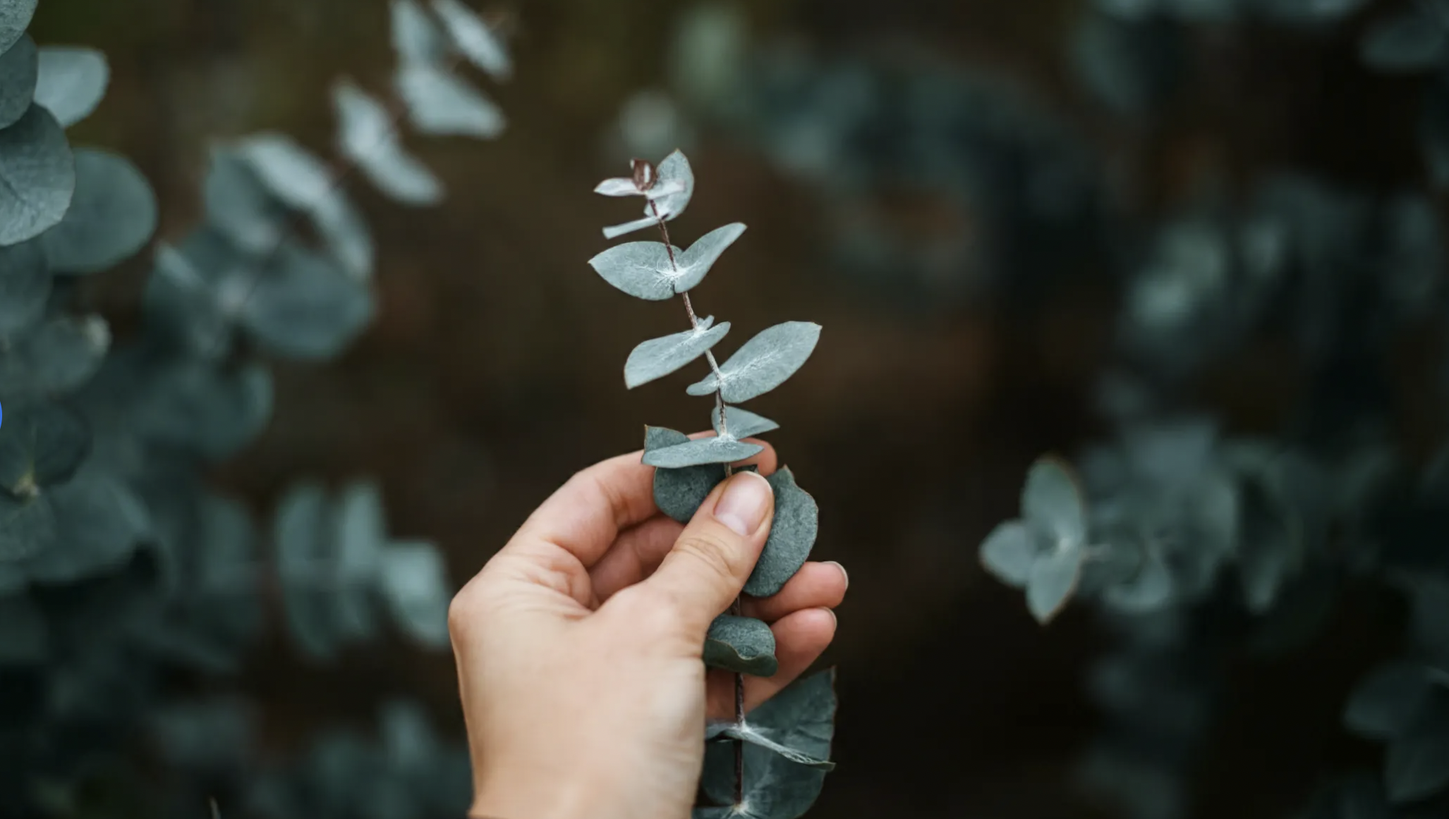 九月-AI前沿观察(下篇)（图ZMTQ5MjQzMDQ=） - 教程 - 站酷设计师油焖小虾米原创素材 - 站酷ZCOOL