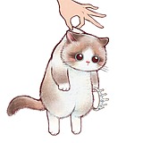 三脚猫cat的头像