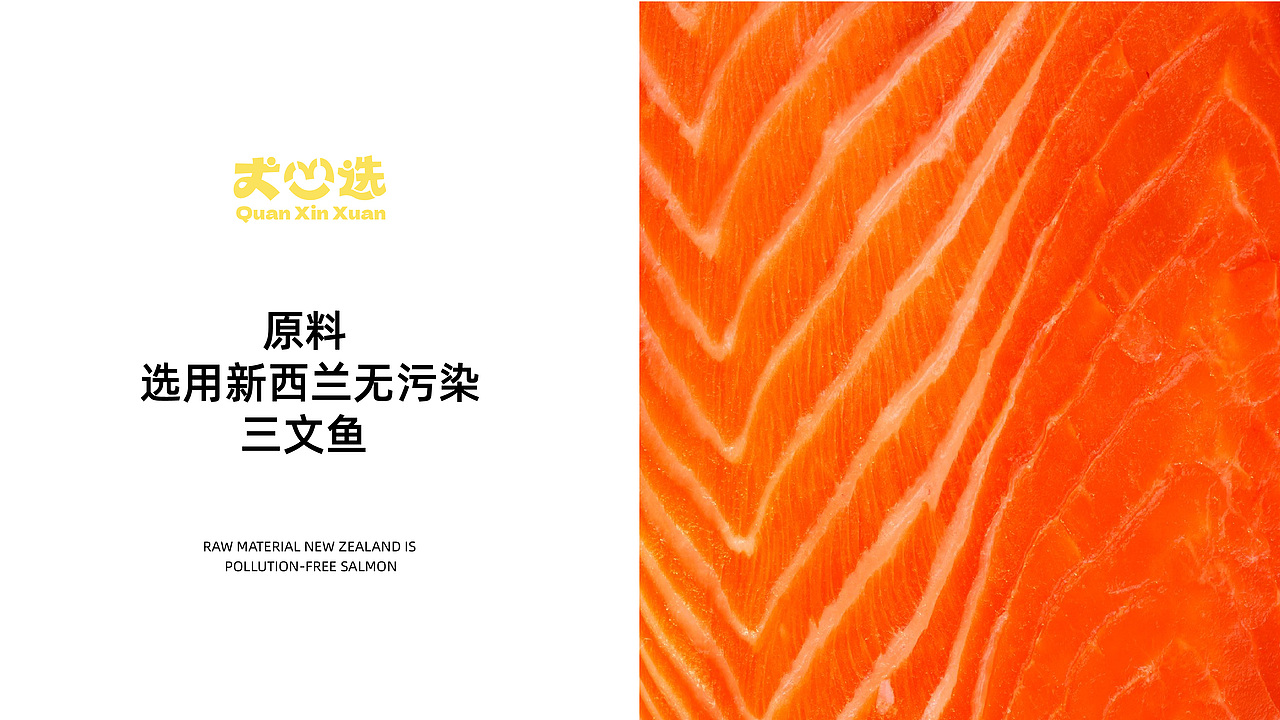 犬心选 | 狗粮品牌设计全案