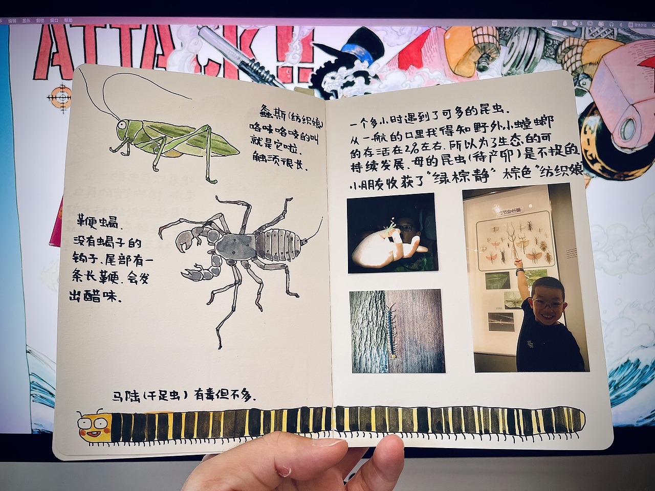 带着本子去旅行-南京旅行手帐（图ZMzc4MTg1MzYw） - 创作习作 - 站酷设计师liangliangart原创素材 - 站酷ZCOOL
