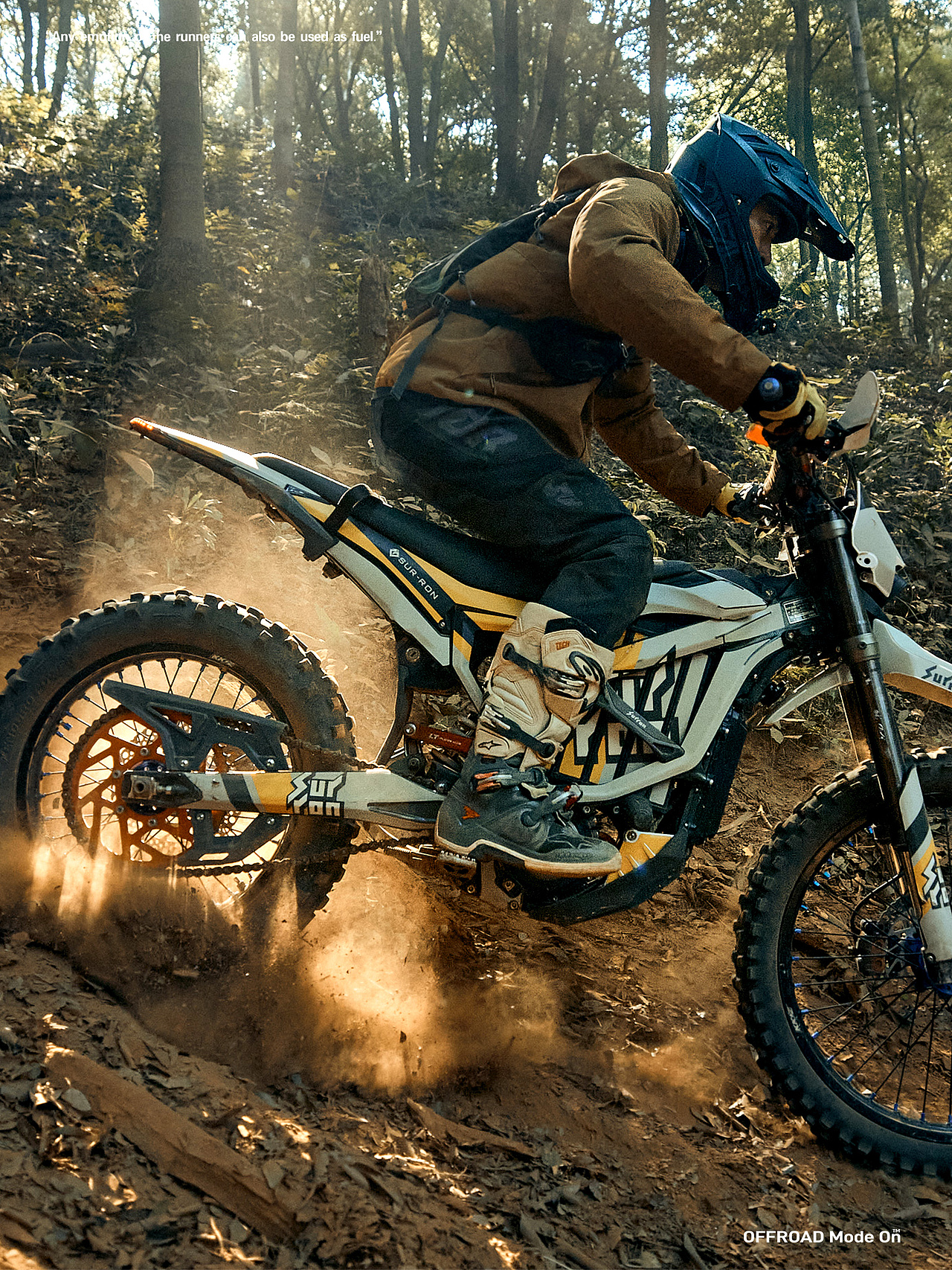 一定要在自己热爱的世间里闪闪发光（中）