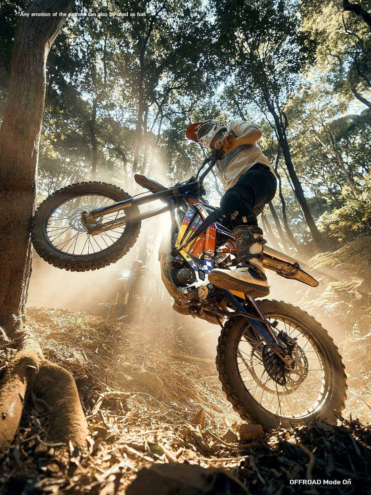 一定要在自己热爱的世间里闪闪发光（中）