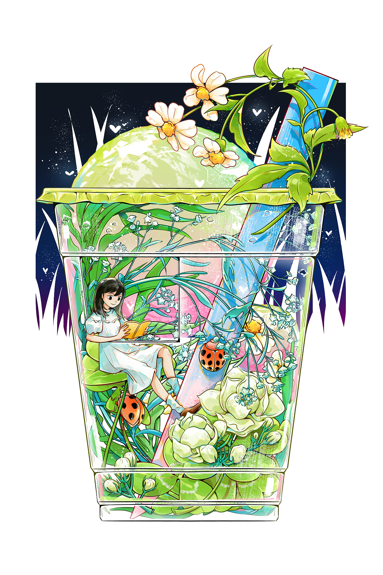 到了夏天,总会摘一些误以为是满天星的银胶菊