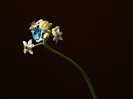 珠宝饰品/项链/耳环/手链/饰品拍摄/产品摄影/模特拍摄