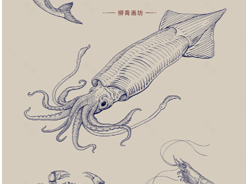 版画 海鲜小合集