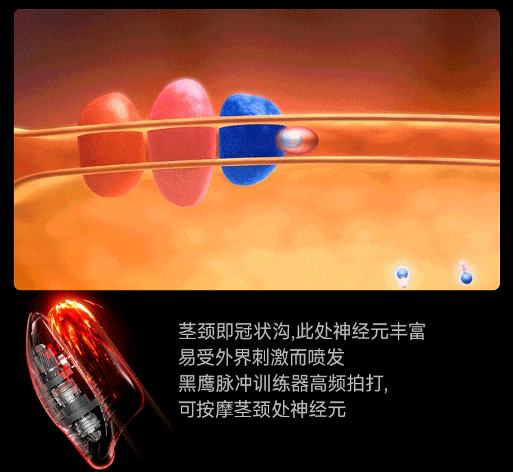 电商详情页丨男用锻炼器丨超级单品丨视觉精选（图ZMzc4MjQ3MjM2） - 电商 - 站酷设计师零零一1原创素材 - 站酷ZCOOL