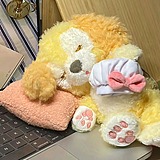 用户头像