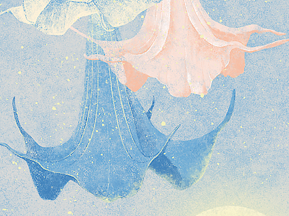近期插画｜如花在野