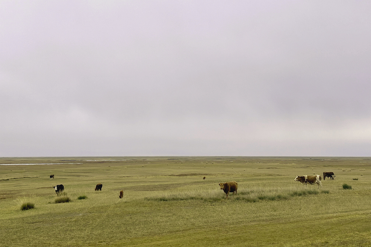 新疆之旅-巴音布鲁克草原的秋天