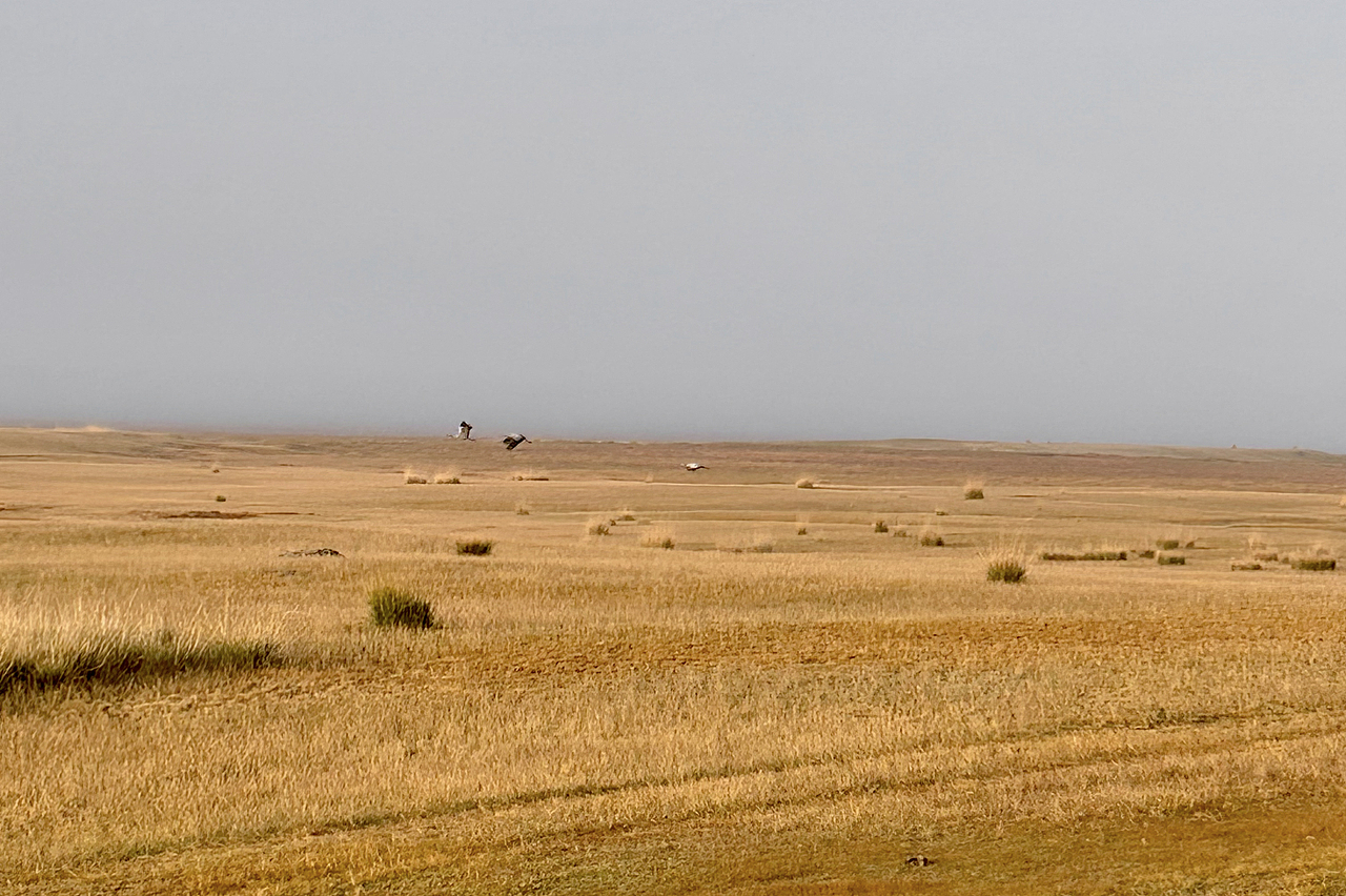 新疆之旅-巴音布鲁克草原的秋天