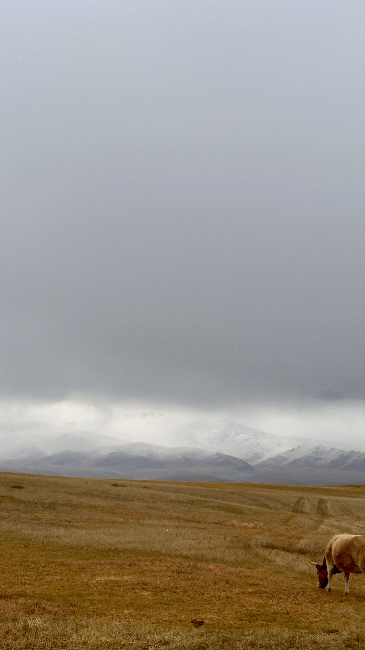 新疆之旅-巴音布鲁克雪山