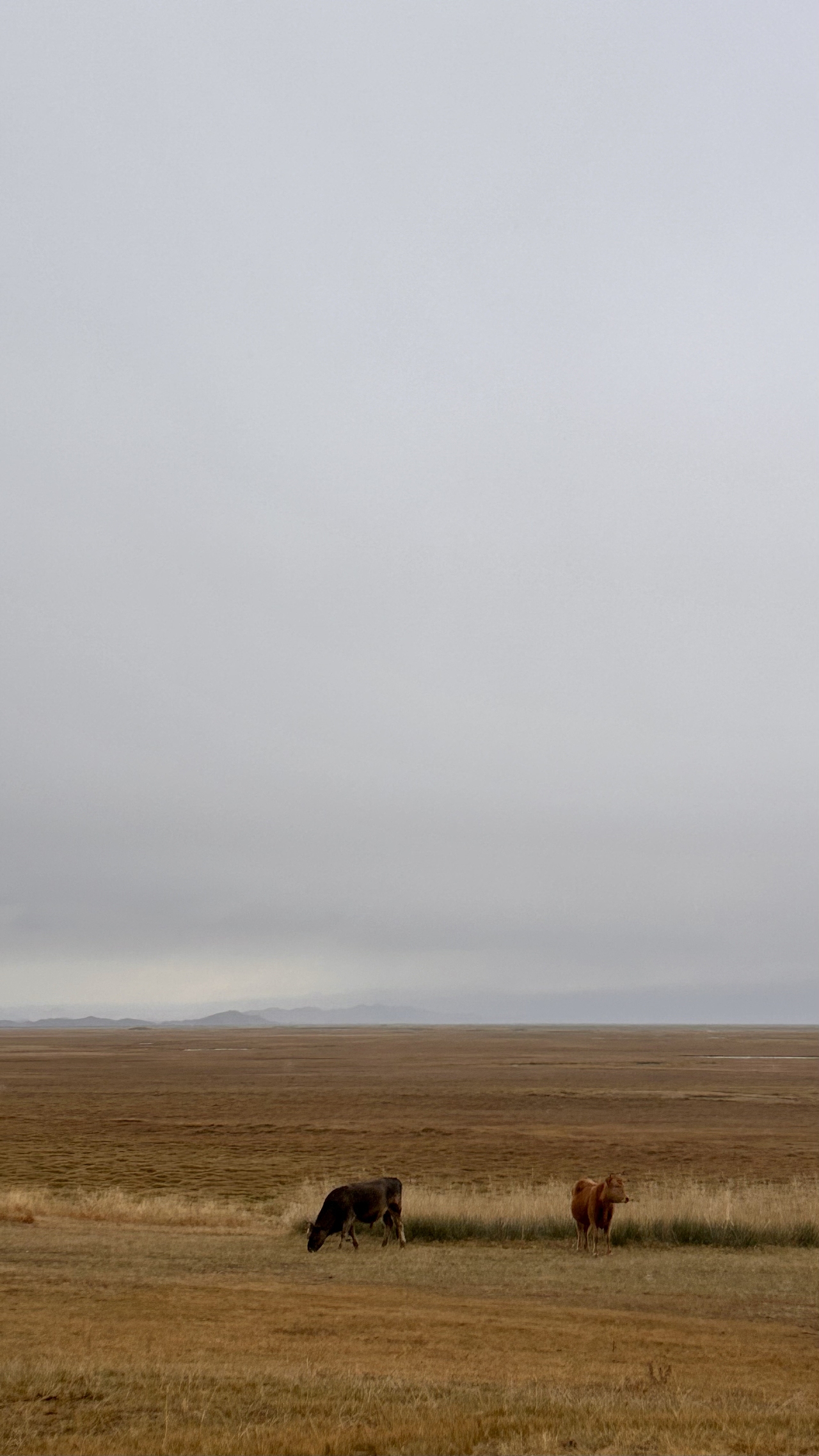 新疆之旅-巴音布鲁克雪山