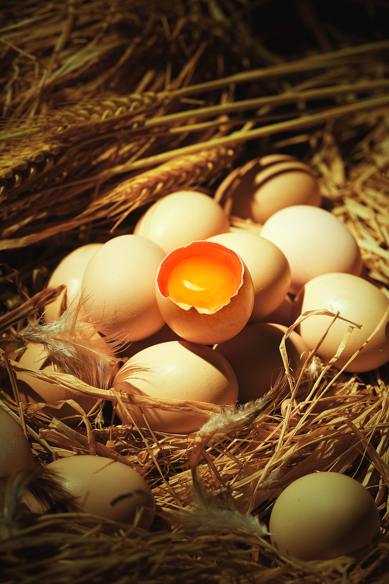 鸡蛋拍摄 | 电商摄影 × 响象视界