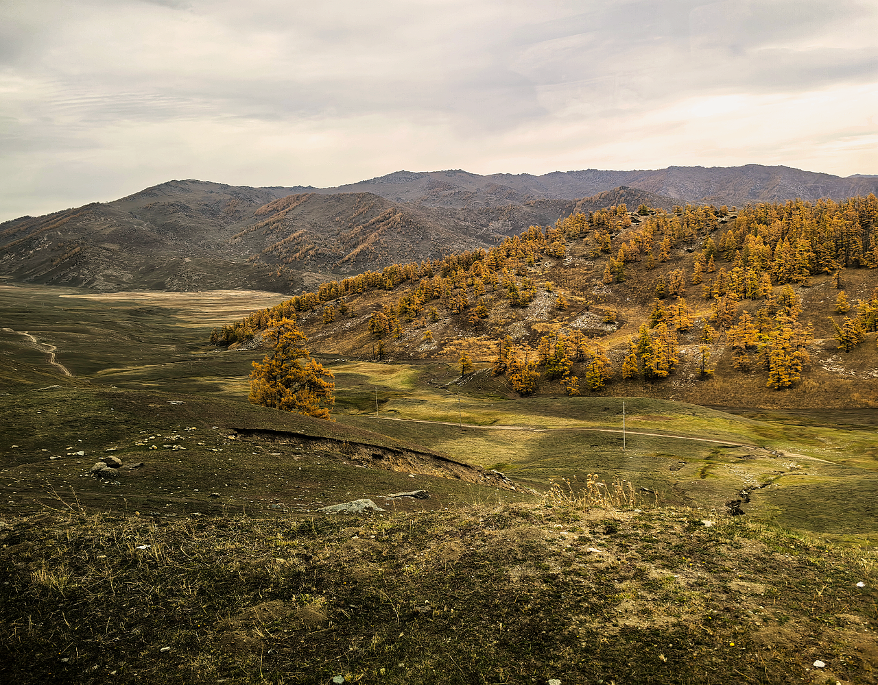 喀纳斯河流、湖泊、森林美景