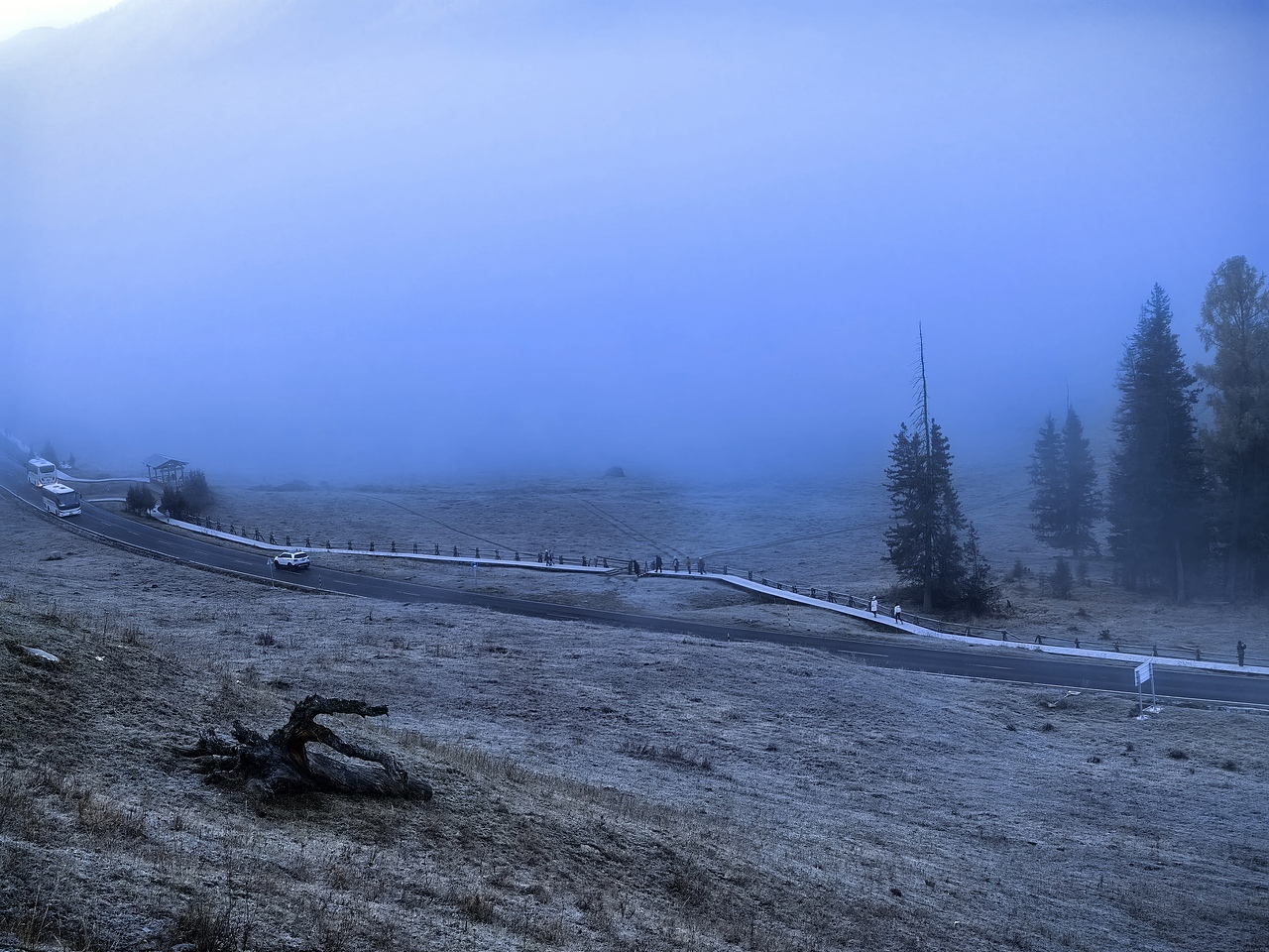 喀纳斯河流、湖泊、森林美景