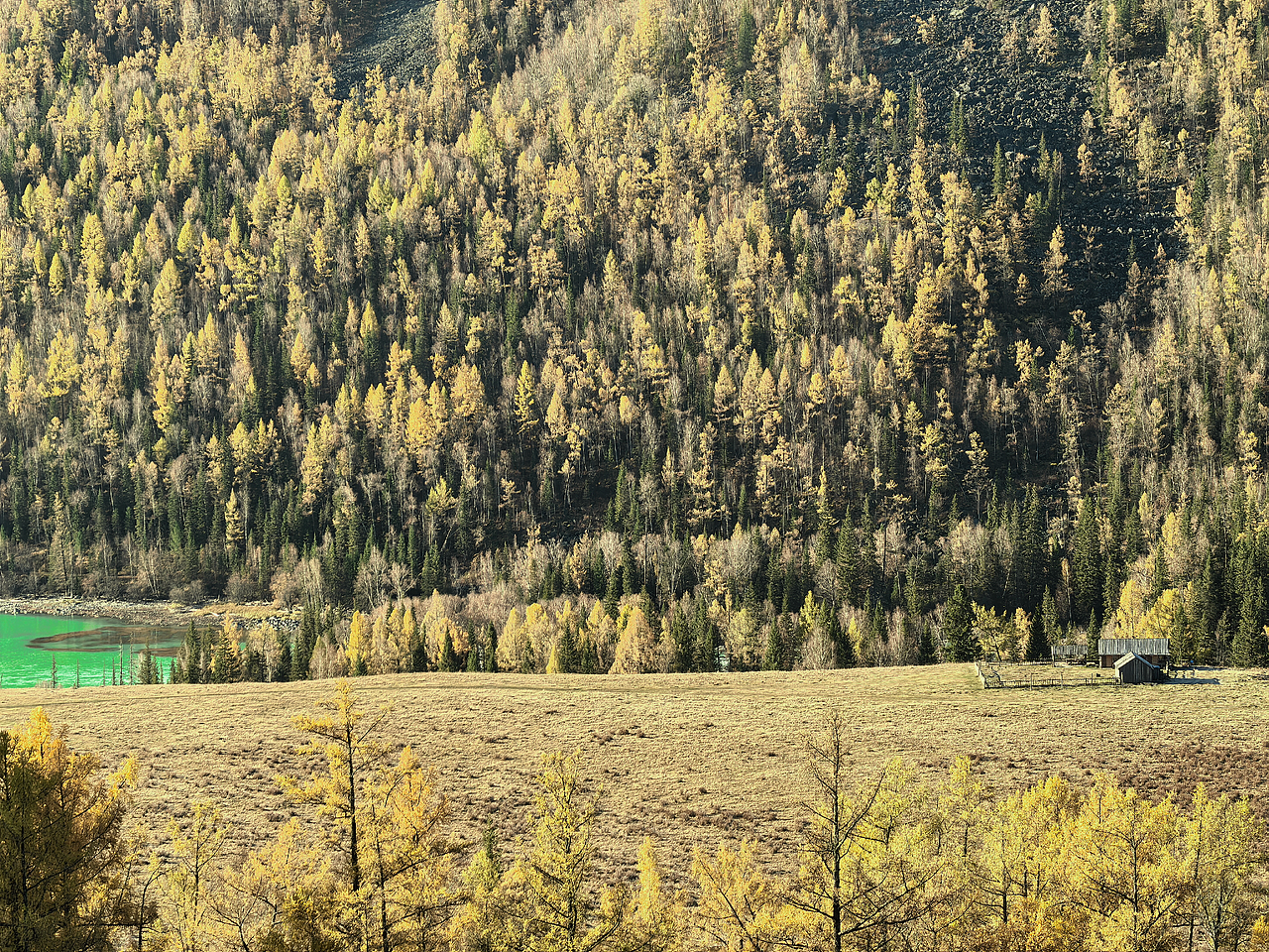喀纳斯河流、湖泊、森林美景