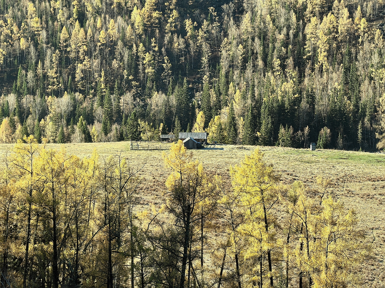 喀纳斯河流、湖泊、森林美景