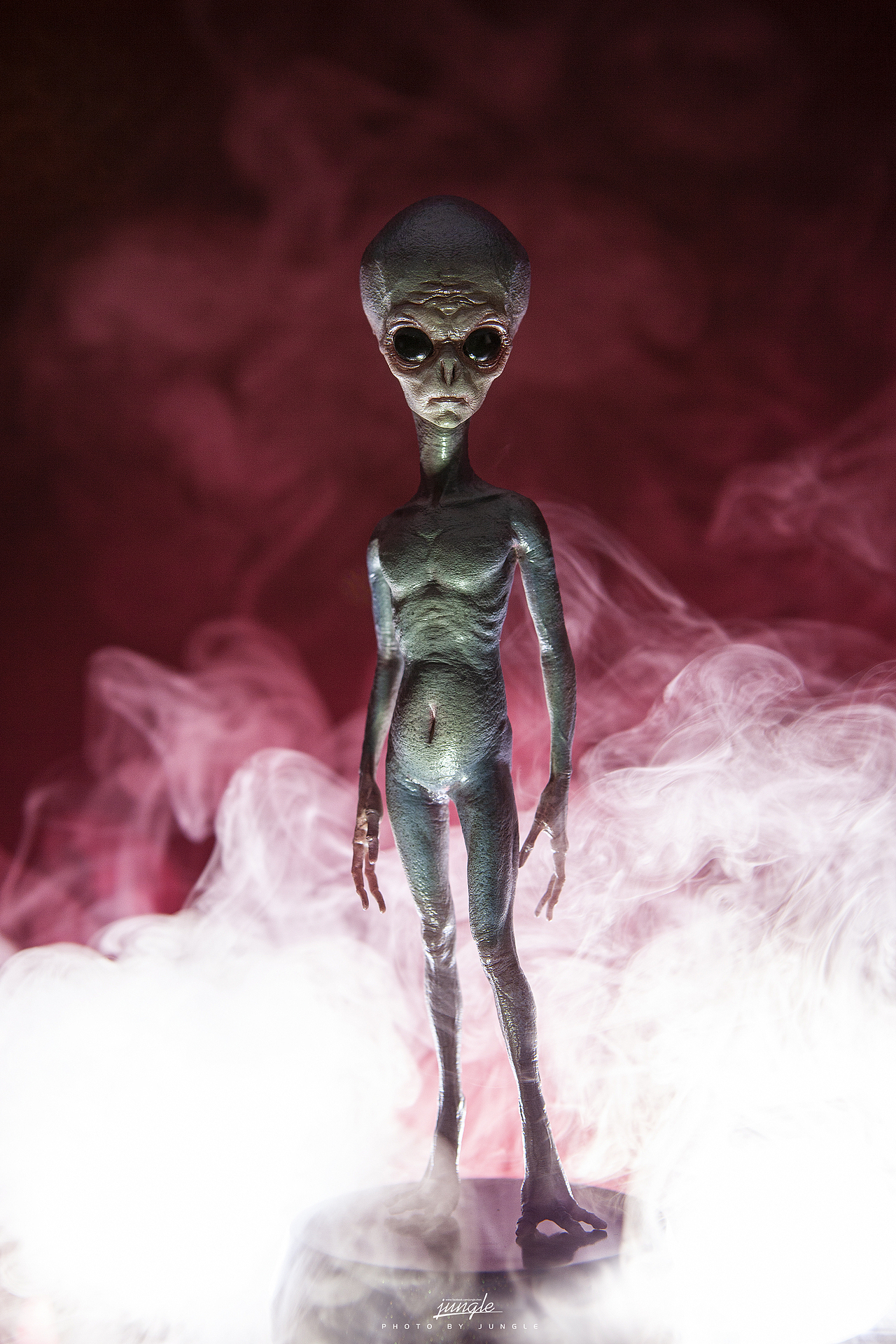 APHID STUDIO 未知生物系列第2彈