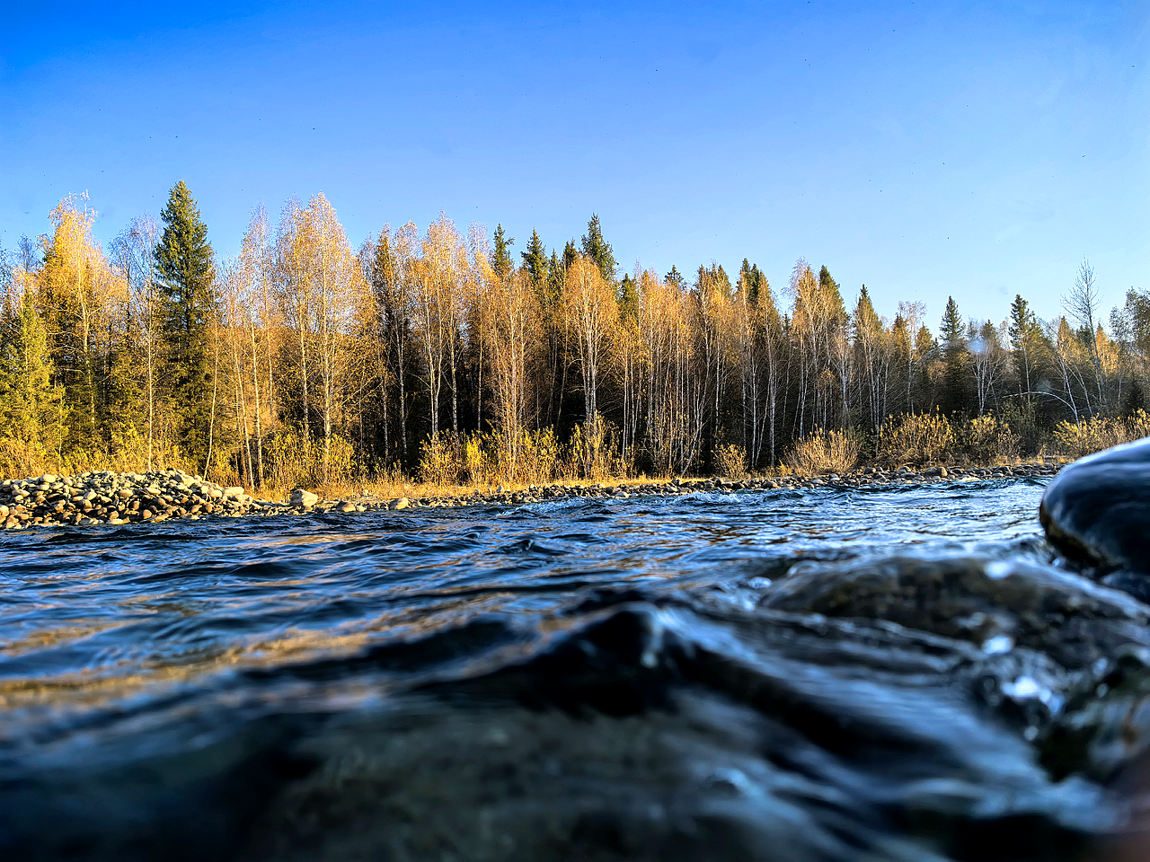 禾木山林风光和夜景