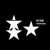 swinkingstar闪星的头像