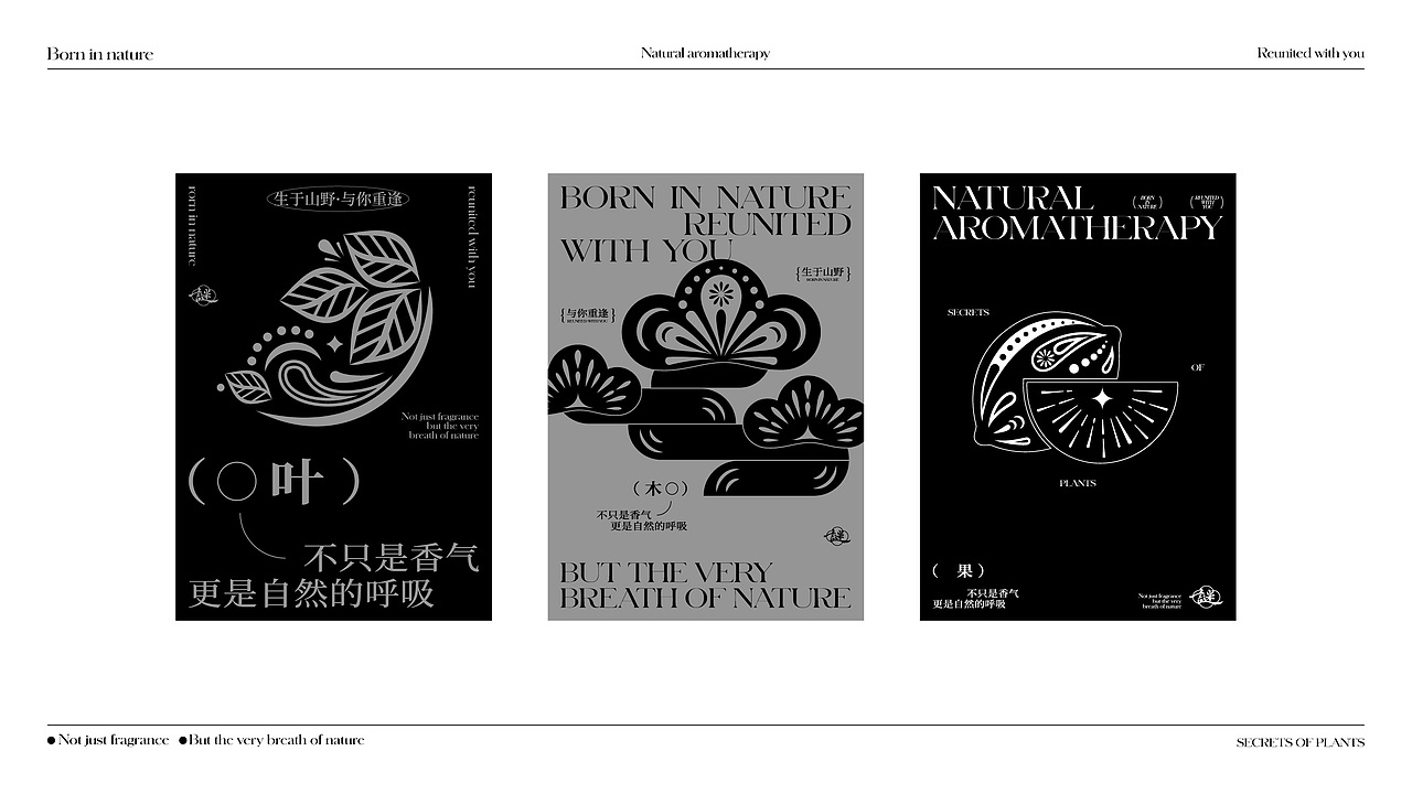 物语之谜 | 香薰品牌设计