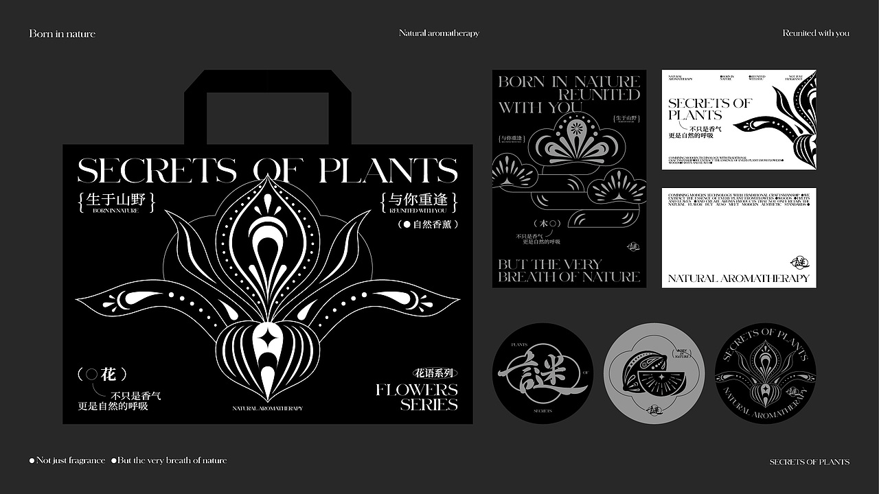 物语之谜 | 香薰品牌设计
