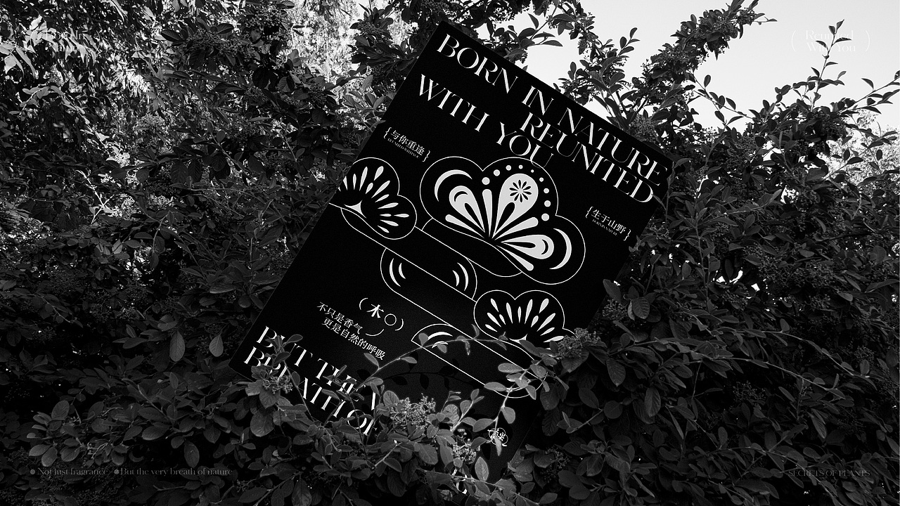 物语之谜 | 香薰品牌设计