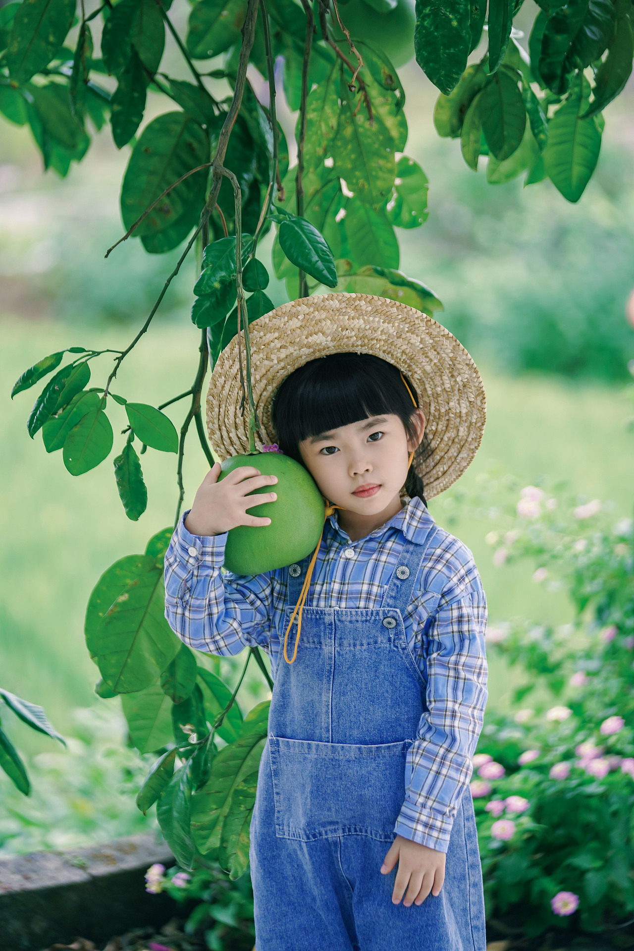 门前那棵柚子树