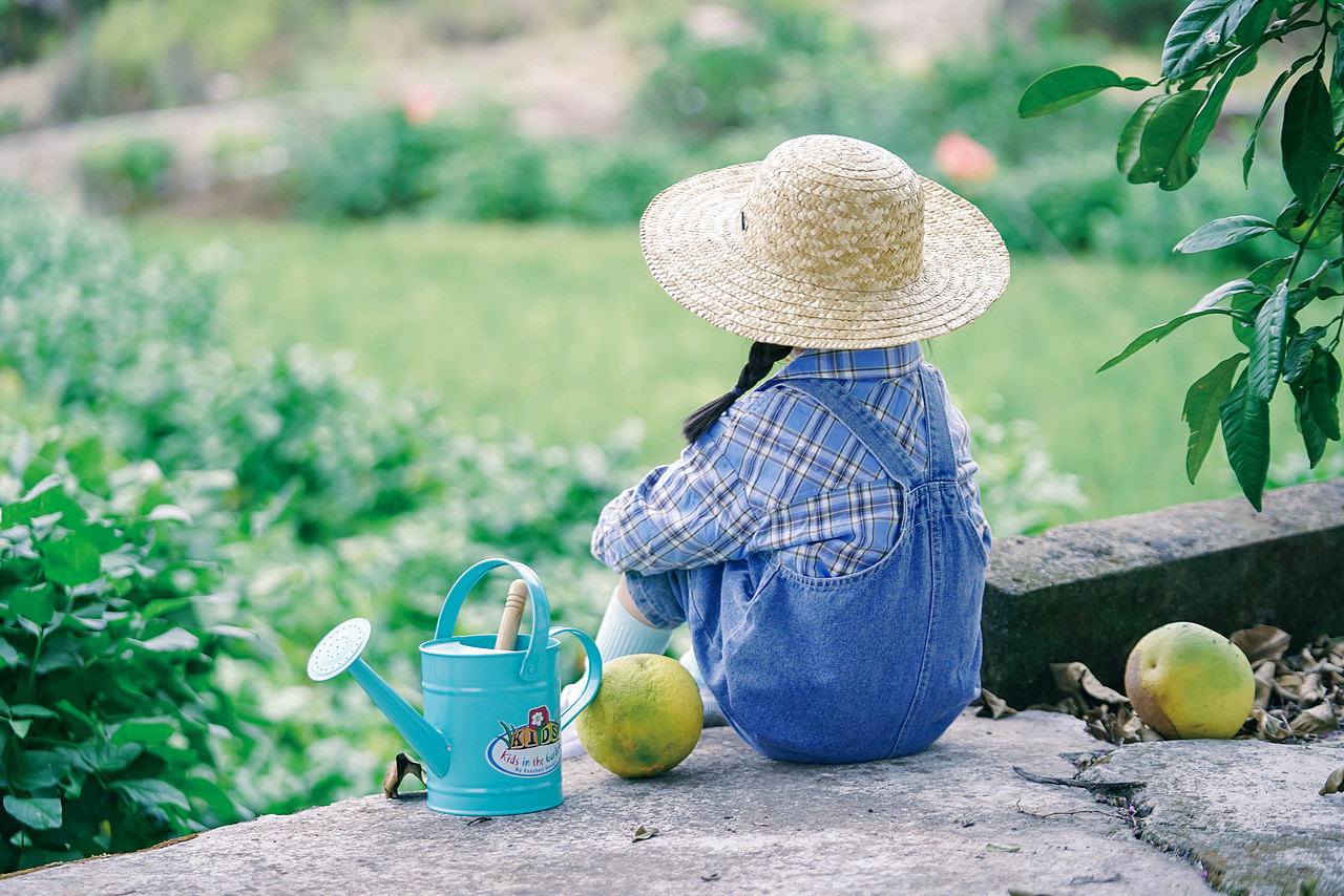 门前那棵柚子树