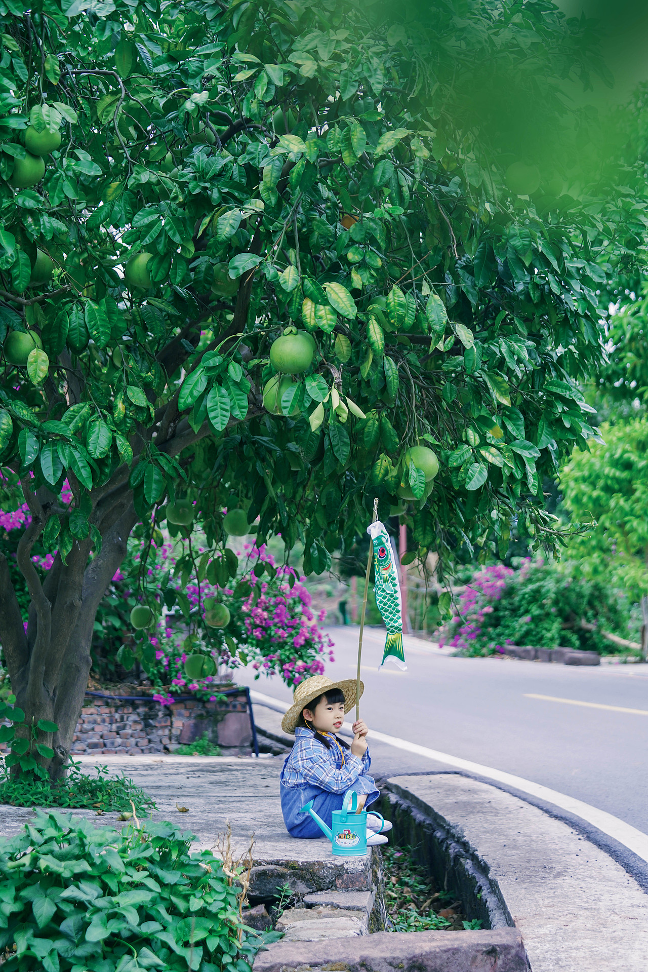 门前那棵柚子树