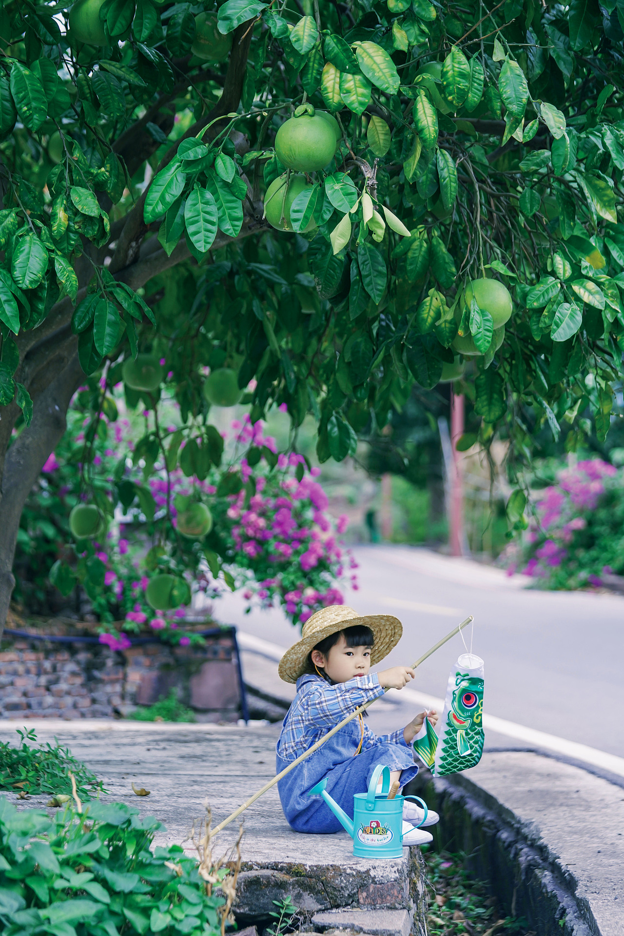 门前那棵柚子树