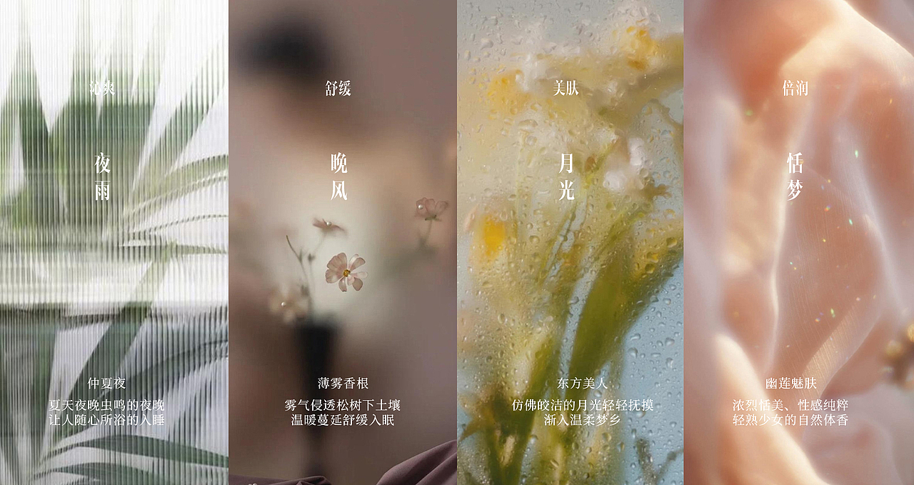 舒蕾 沐浴露品牌KV策划摄影 | 东莞锐图摄影