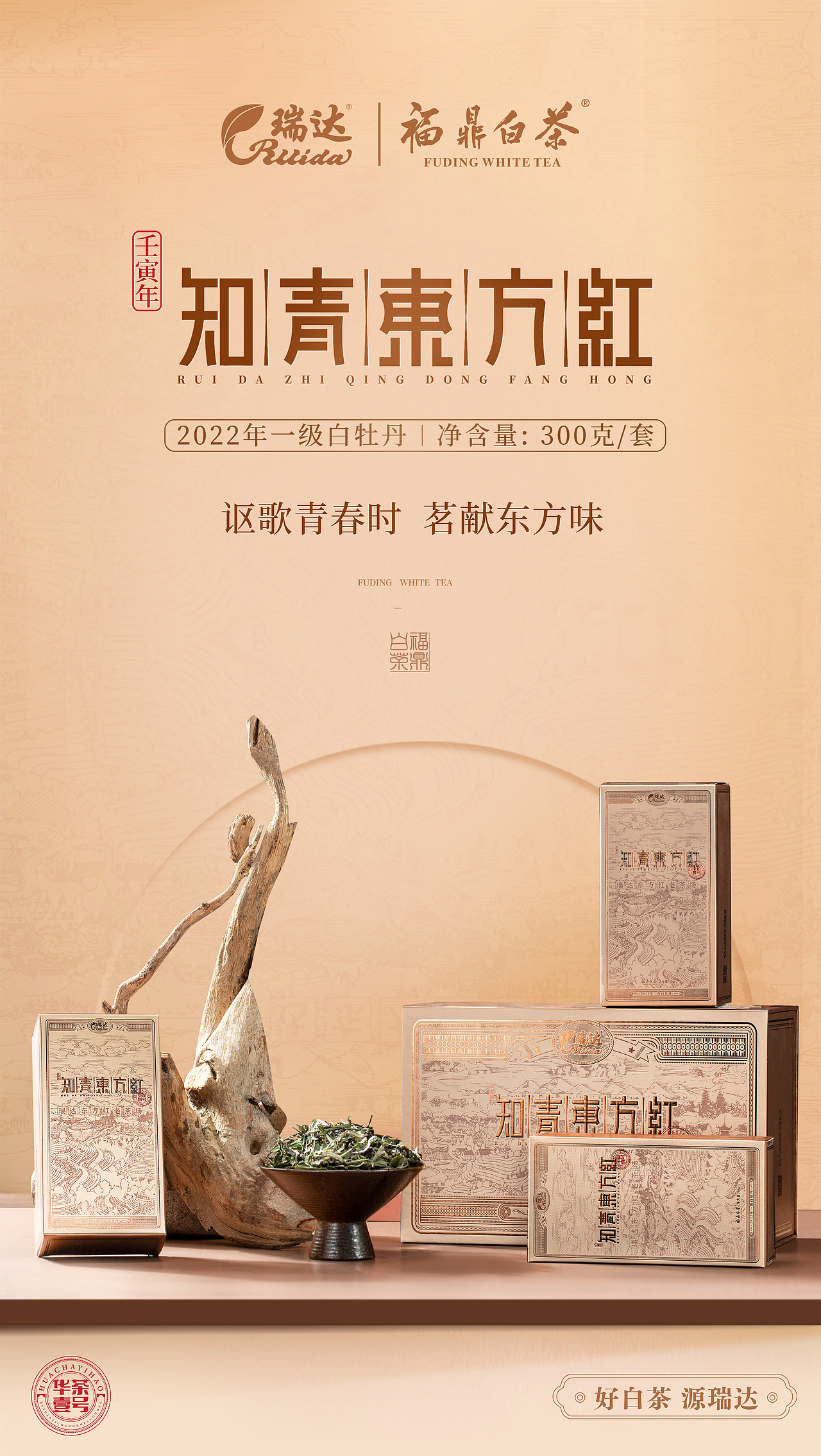 新品预售海报